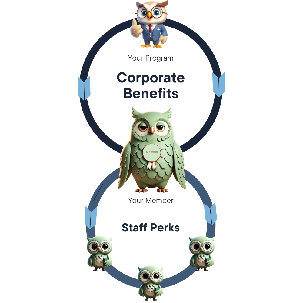 Diagram showing categories of staff perks and employee benefits
